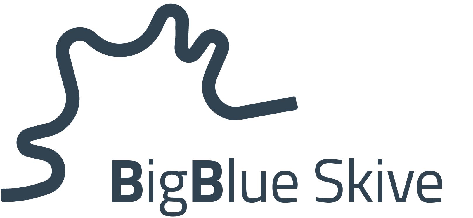 BigBlue Skive logo - forside